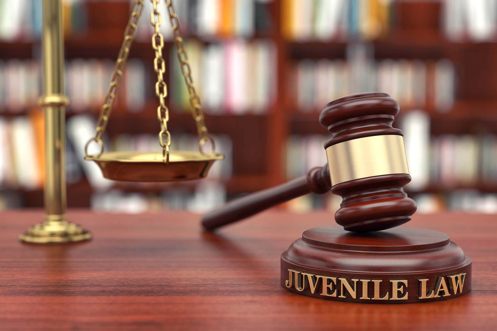  Juvenile Law